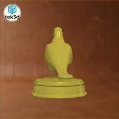 jpg_frame_08.jpg