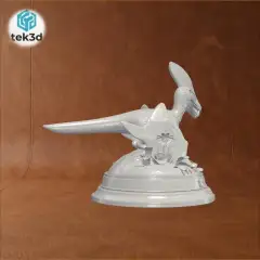 jpg_frame_16.jpg