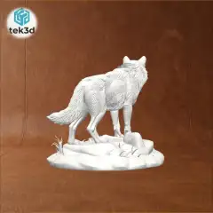 jpg_frame_04.jpg