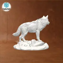jpg_frame_08.jpg