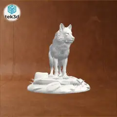 jpg_frame_16.jpg