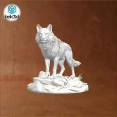 jpg_frame_20.jpg