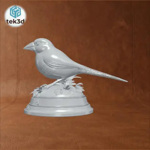 Java Sparrow: Elegant Songbird Collectible 3D Model
