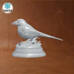 jpg_frame_00.jpg