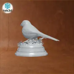 jpg_frame_04.jpg