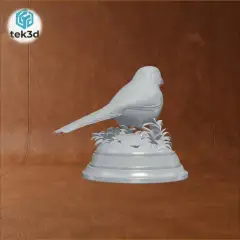 jpg_frame_12.jpg