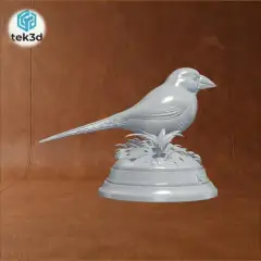 jpg_frame_16.jpg