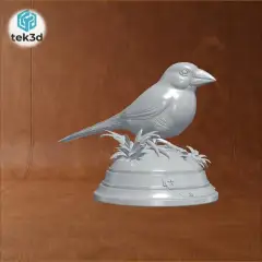 jpg_frame_20.jpg