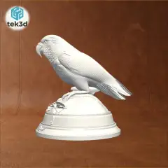 jpg_frame_00.jpg