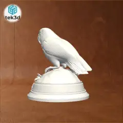 jpg_frame_04.jpg