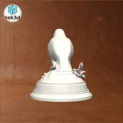 jpg_frame_08.jpg