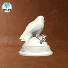jpg_frame_12.jpg